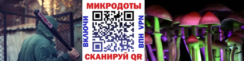Псилоцибиновые грибы ЛСД  Светогорск 